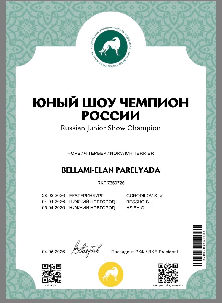 Юный шоу чемпион России