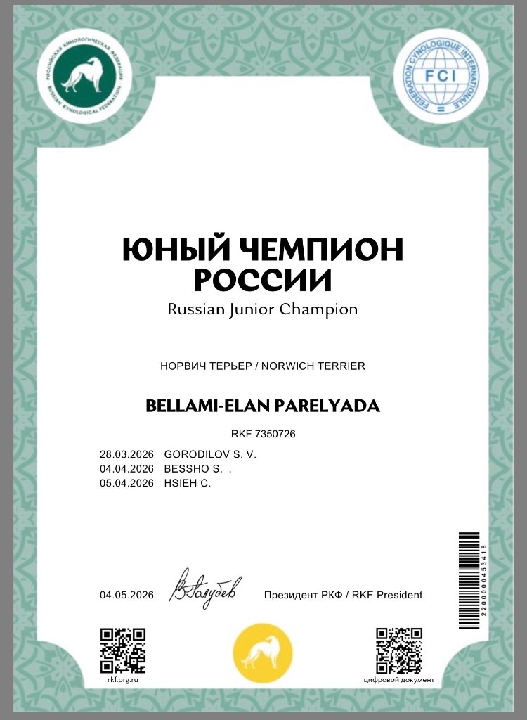 Юный чемпион России