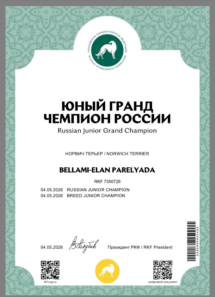 Юный гранд чемпион России