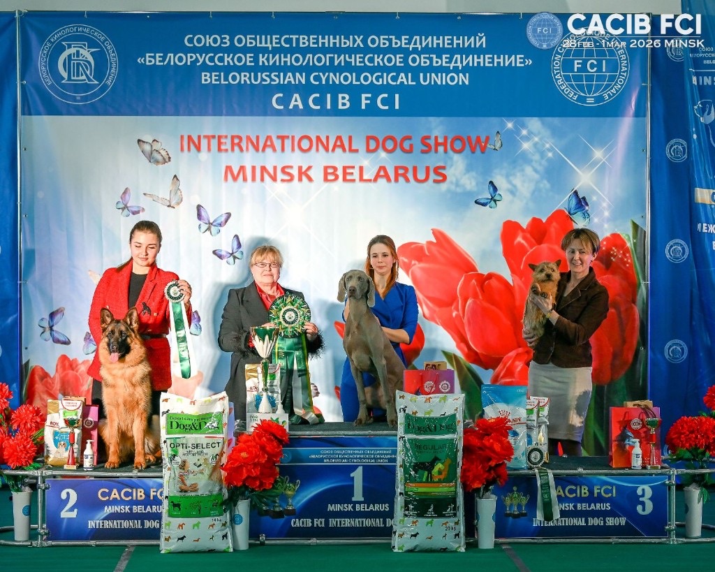 Пари на подиуме CACIB FCI Минск