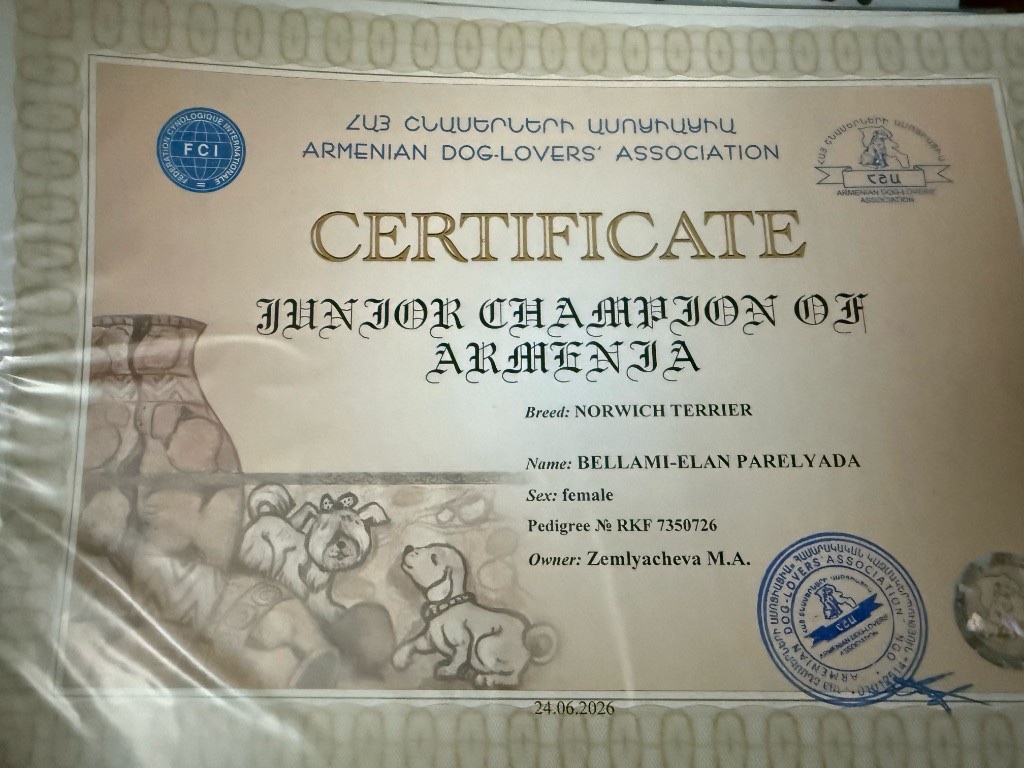 Юный чемпион Армении