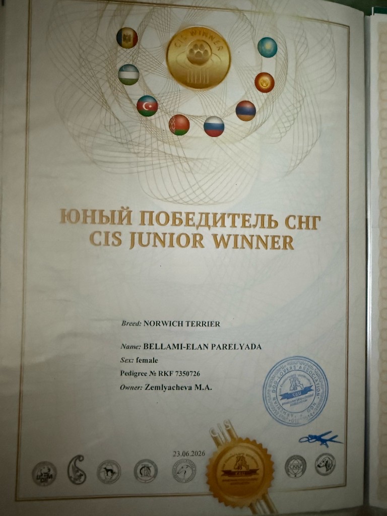 Юный победитель СНГ